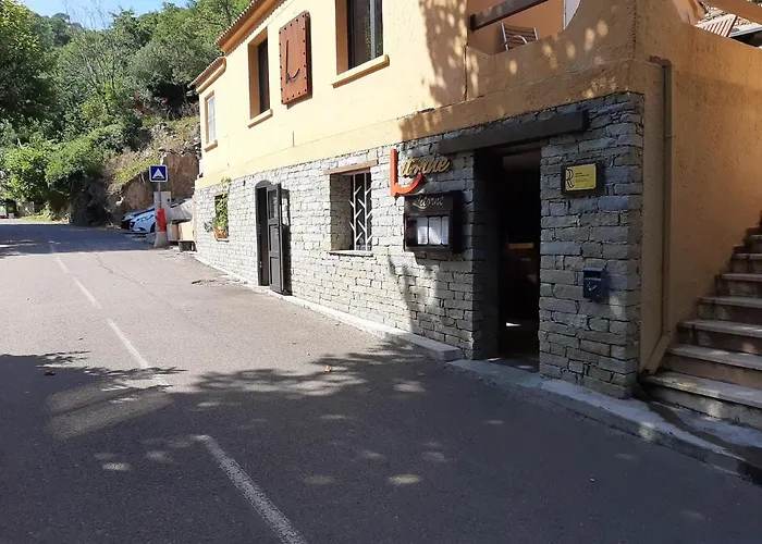 Ribellu *