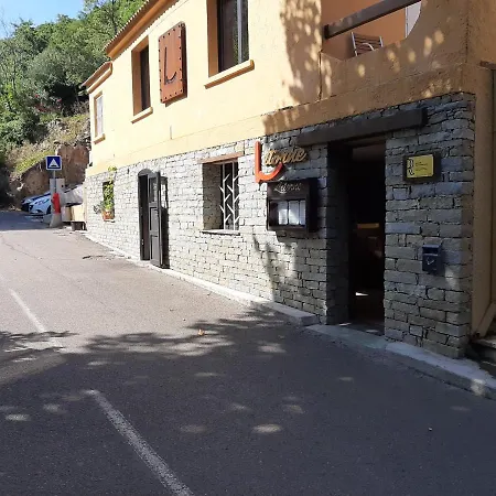 Ribellu *