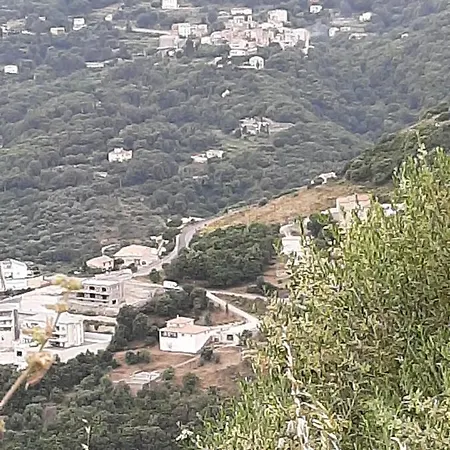 Ribellu Villa *